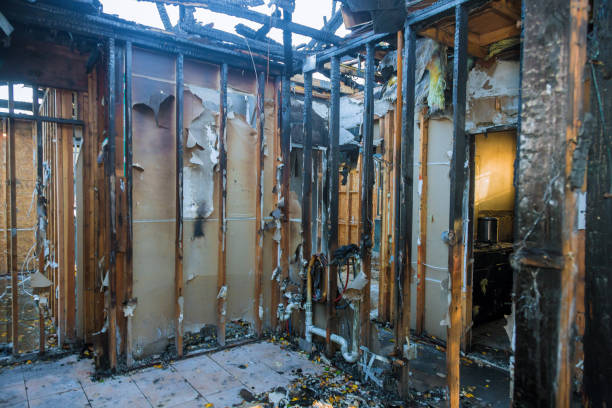 Professional Fire Damage Removal technician working in Century, FL